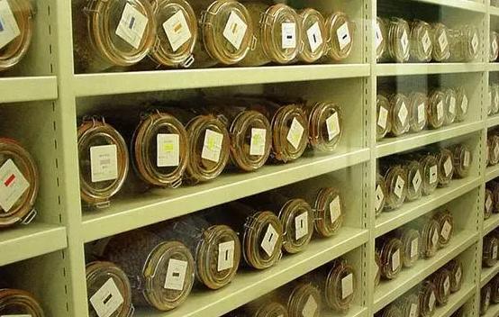 安裝500平米科研種子冷庫費(fèi)用是多少？