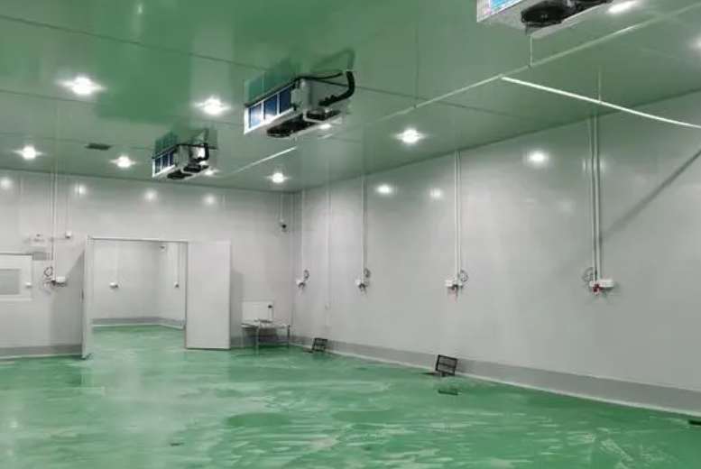 建牛肉冷凍庫每平米多少錢