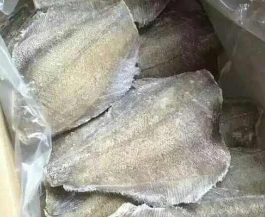安裝50平米凍魚冷凍冷庫(kù)價(jià)格多少錢