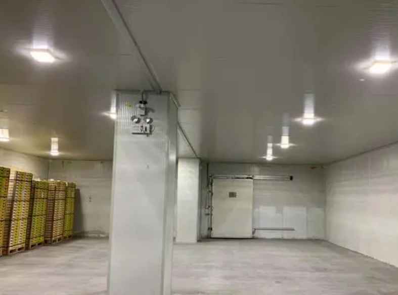 板栗冷庫儲存前預(yù)冷過程是什么